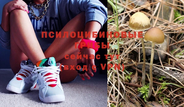 ешки Абдулино